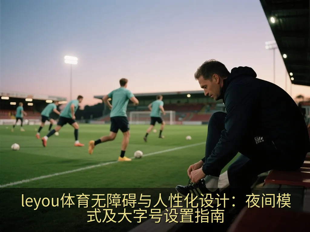 leyou体育无障碍与人性化设计：夜间模式及大字号设置指南